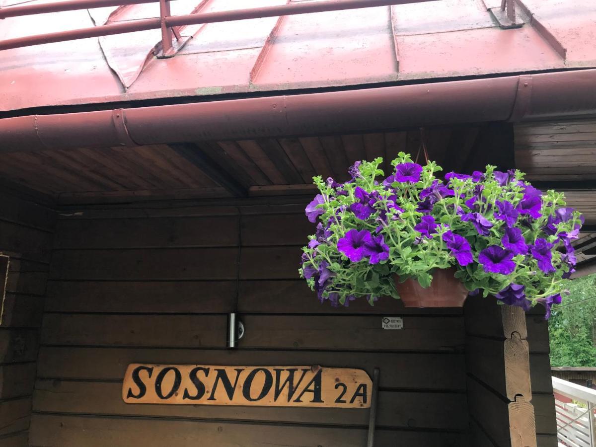 Villa Sosnowy Zakatek Wisła Exterior foto